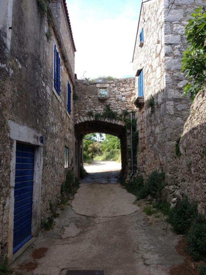 Charming Dalmatian Apartment With Panoramic View Tkon Buitenkant foto